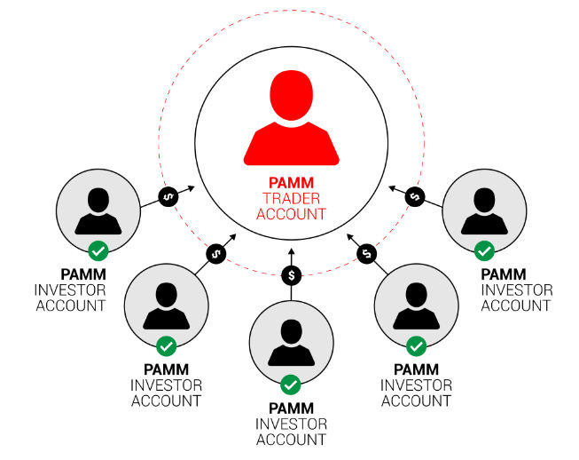 حساب پم PAMM در فارکس چیست؟